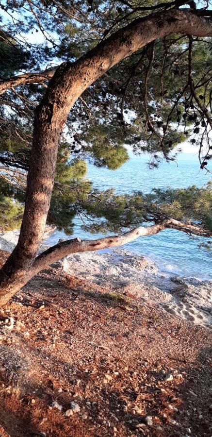 Apartment Rita Makarska Buitenkant foto